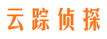 青秀市侦探